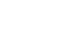 Wisely Pay Toolkit - Overview